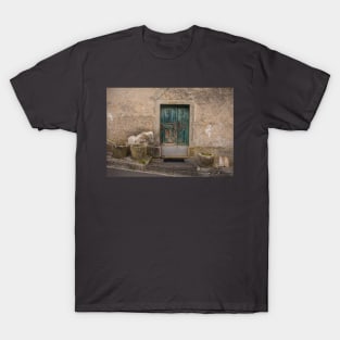 Door in Mieli, Italy T-Shirt